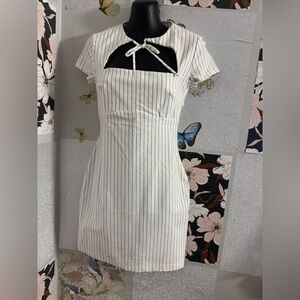 Wild Fable White and Black Striped Mini Dress